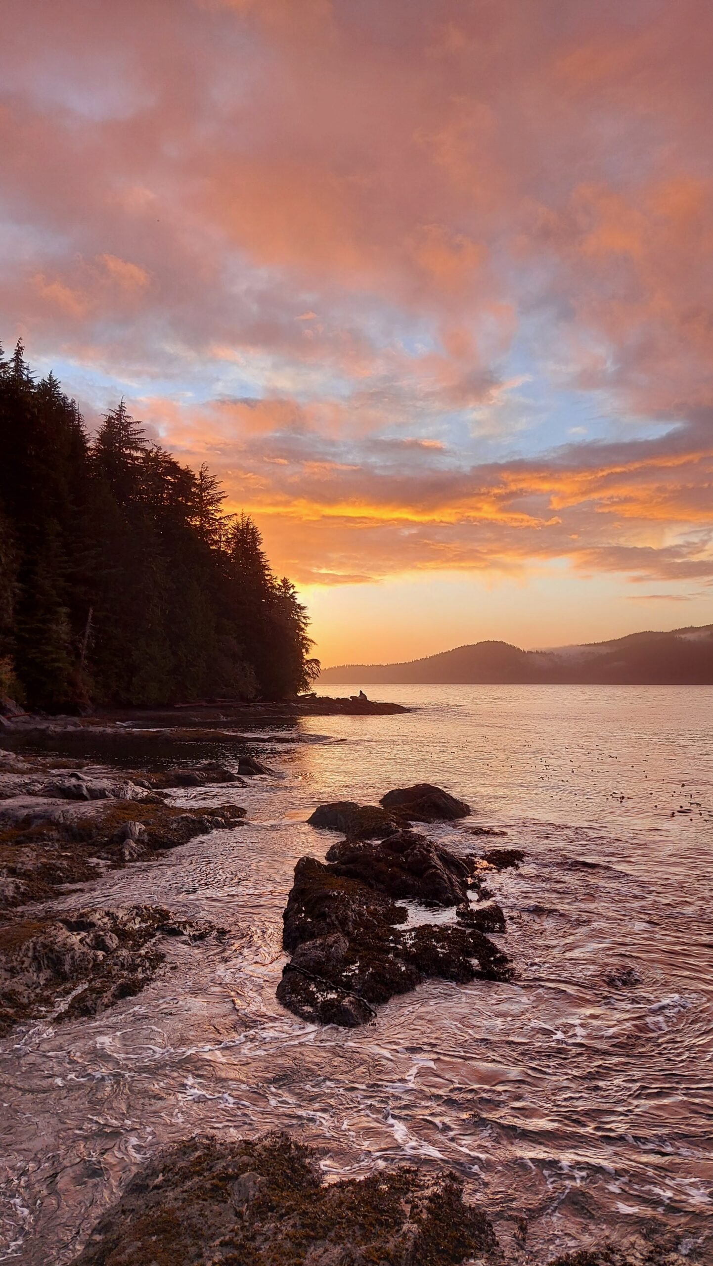 Port Renfrew, Canada: Planning Your Way to an Unforgettable Experience