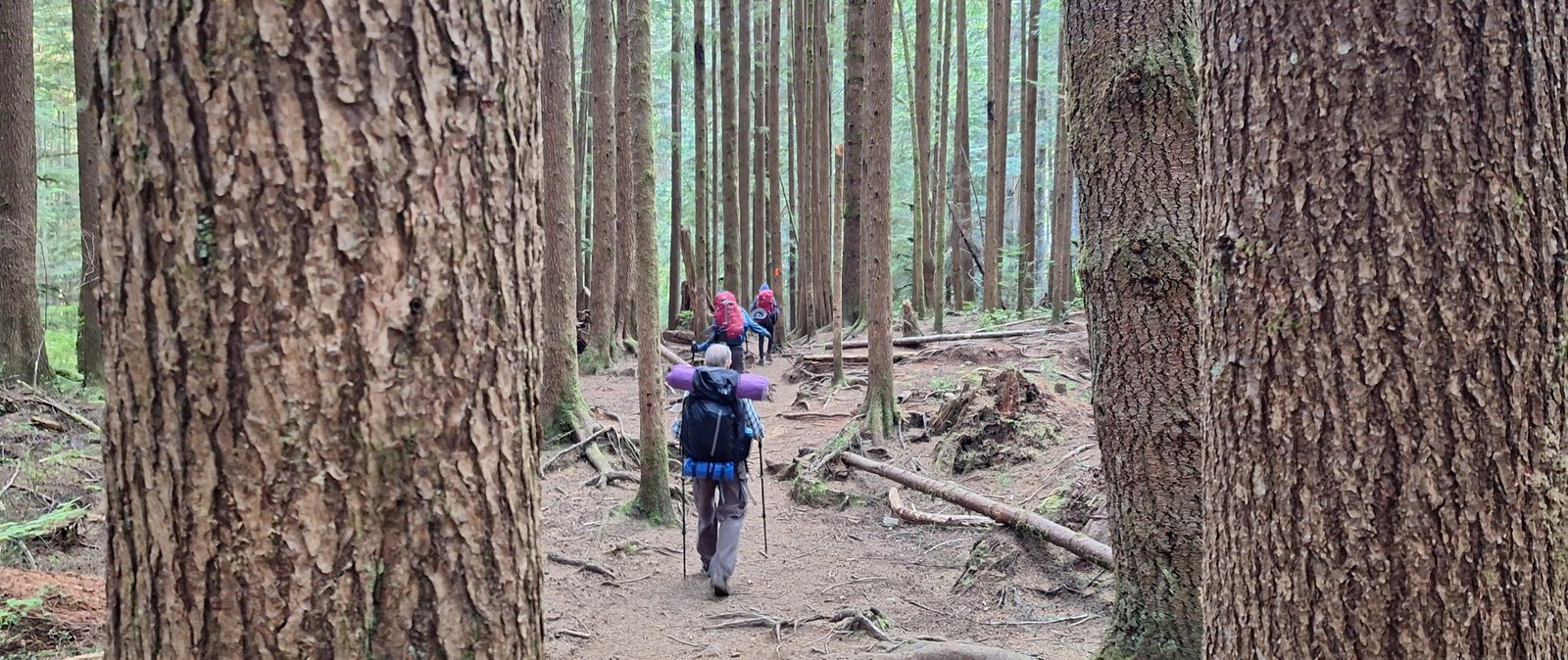 Discover The Best Camping Places with Your Family