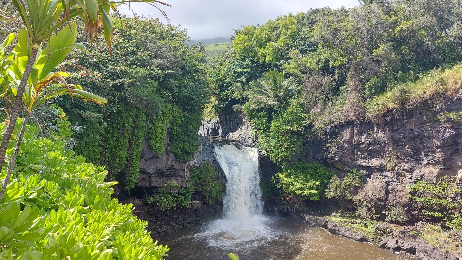 Ultimate 7-Day Itinerary: Explore The Best Of Maui, Hawaii