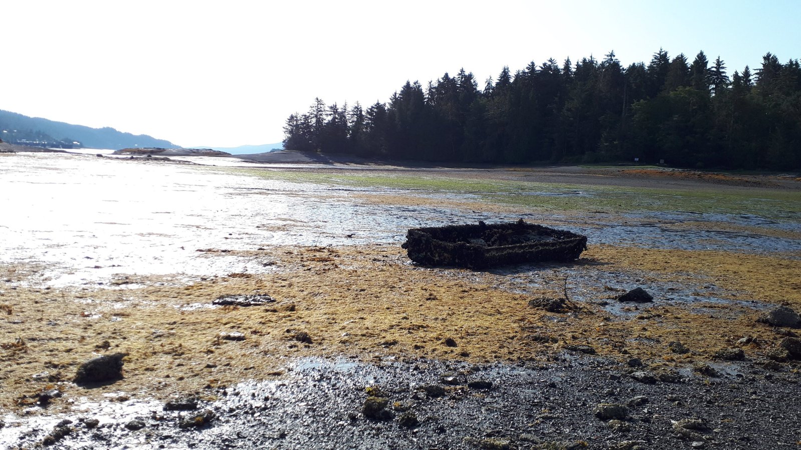 Ultimate 7-Day Itinerary: Explore The Best Of Haida Gwaii, Canada