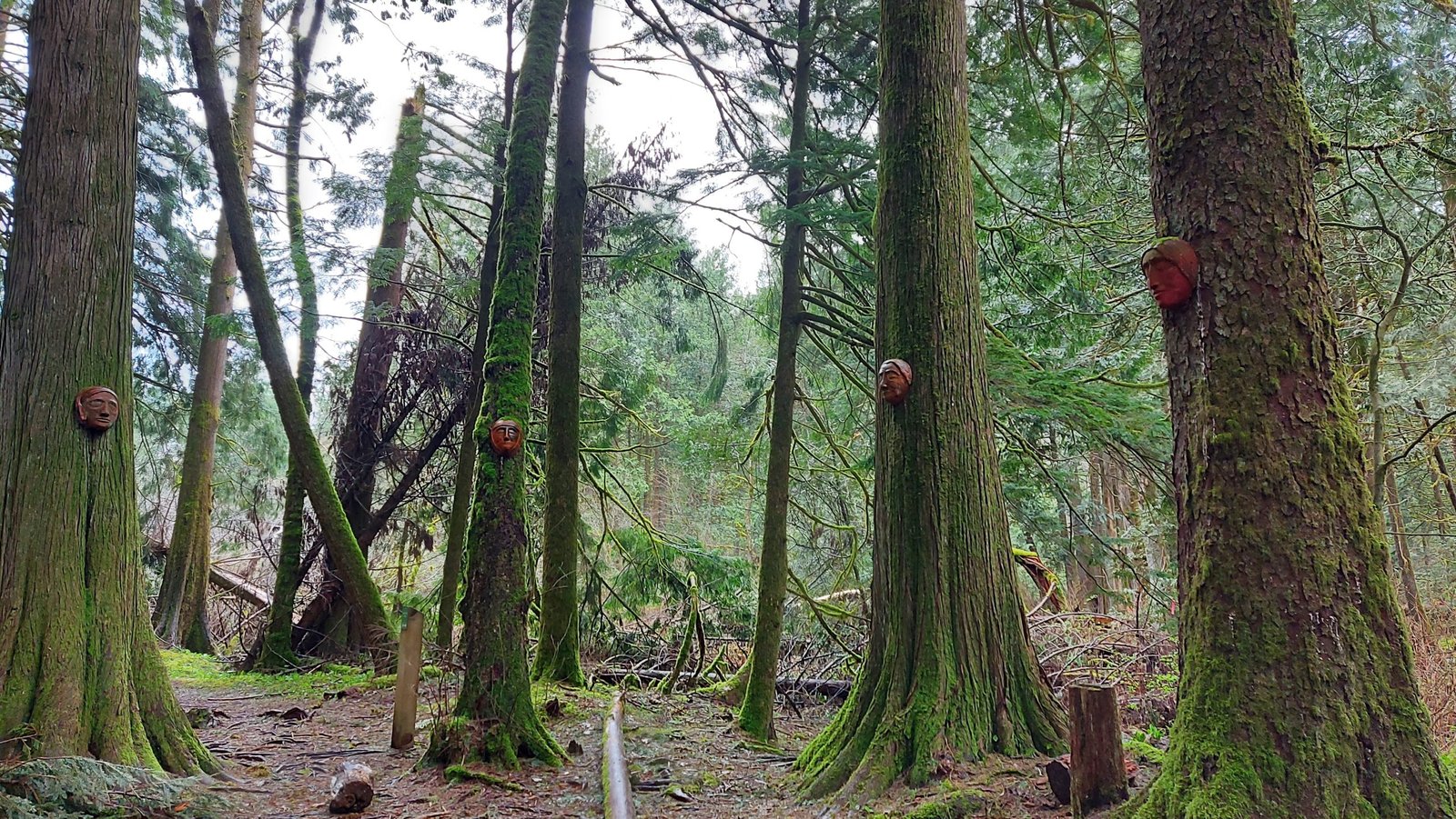 How to Plan the Perfect Getaway to Harrison Hot Springs