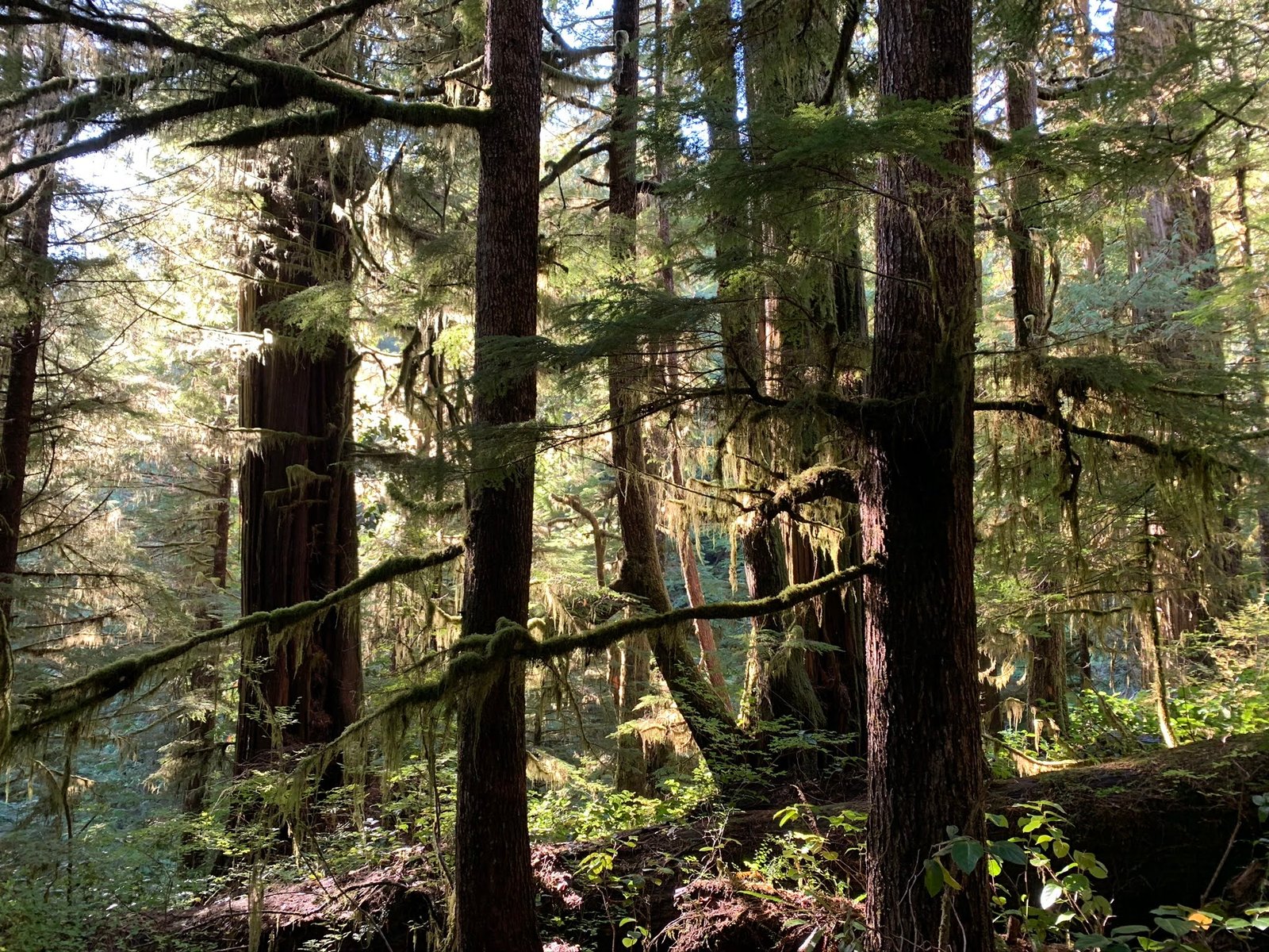 Would You Rather? Travel Picks Inspired by the West Coast