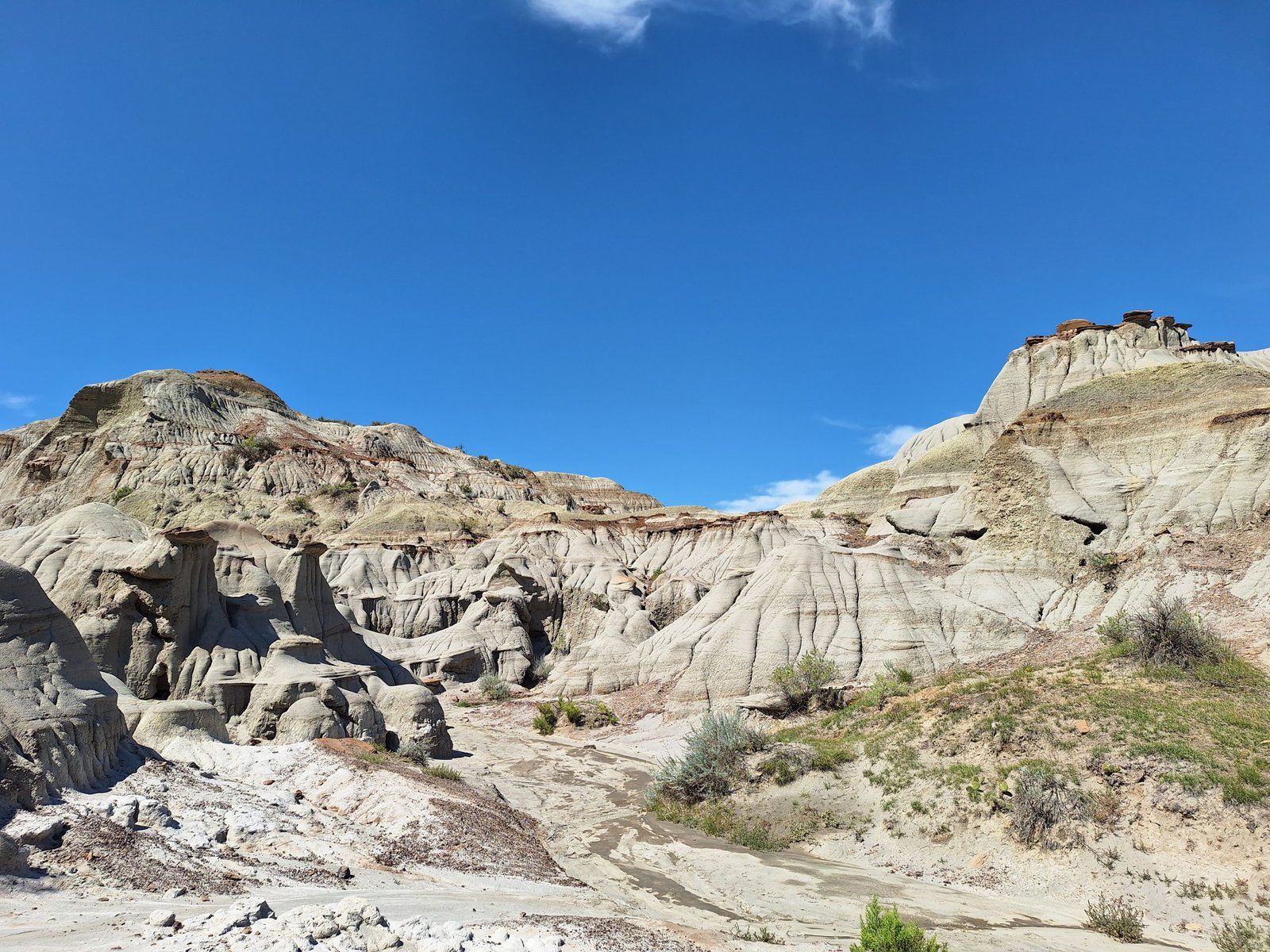 Dinosaur Provincial Park: Camping, Hoodoos, and Fossils in Alberta’s Badlands